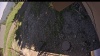 Web Cam Image - Mon, 06/30/2025 12:09pm PDT
