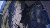 Web Cam Image - Wed, 09/16/2026 11:04am PDT