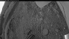 Web Cam Image - Mon, 07/07/2025 9:14pm PDT