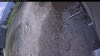 Web Cam Image - Mon, 05/11/2026 12:49pm PDT