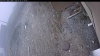 Web Cam Image - Wed, 05/06/2026 11:19am PDT