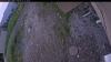 Web Cam Image - Fri, 06/12/2026 7:44pm PDT
