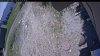 Web Cam Image - Sun, 05/31/2026 12:14pm PDT