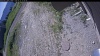 Web Cam Image - Mon, 06/22/2026 9:19am PDT