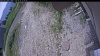 Web Cam Image - Wed, 06/24/2026 10:19am PDT