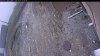 Web Cam Image - Thu, 05/07/2026 11:39am PDT