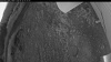 Web Cam Image - Thu, 06/18/2026 2:59am PDT