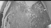 Web Cam Image - Fri, 07/03/2026 8:44pm PDT