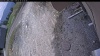 Web Cam Image - Sun, 05/10/2026 12:09pm PDT