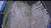 Web Cam Image - Thu, 05/28/2026 11:24am PDT