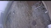 Web Cam Image - Thu, 05/07/2026 11:29am PDT