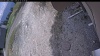 Web Cam Image - Mon, 05/11/2026 12:19pm PDT
