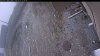 Web Cam Image - Thu, 05/07/2026 11:24am PDT