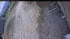 Web Cam Image - Mon, 05/11/2026 12:14pm PDT