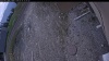 Web Cam Image - Sun, 05/10/2026 11:54am PDT