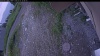 Web Cam Image - Wed, 07/01/2026 6:34pm PDT