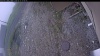 Web Cam Image - Wed, 05/13/2026 4:29pm PDT