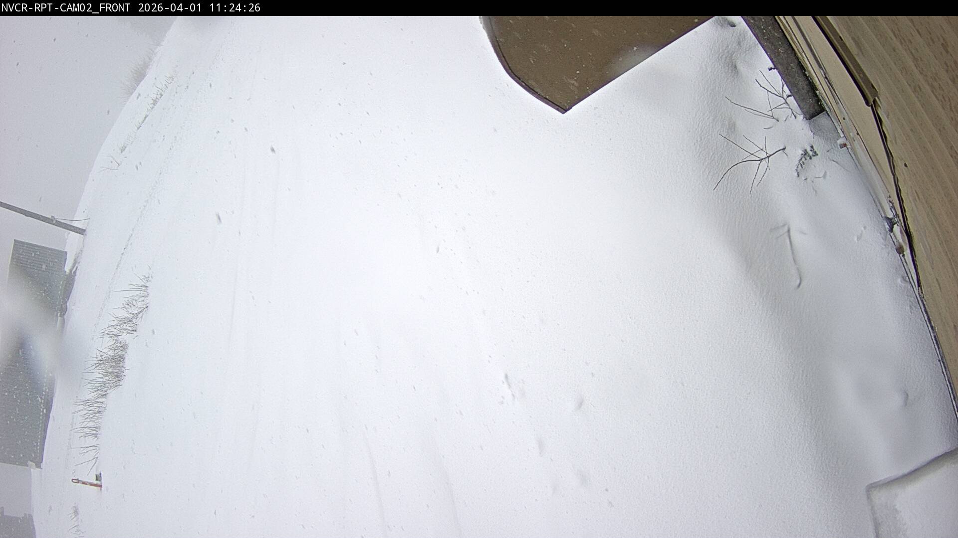 Web Cam History Image - 35