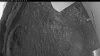 Web Cam Image - Fri, 06/19/2026 3:04am PDT