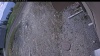 Web Cam Image - Mon, 05/11/2026 11:54am PDT