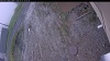 Web Cam Image - Fri, 05/15/2026 9:54am PDT