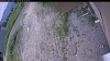 Web Cam Image - Thu, 06/25/2026 11:14am PDT