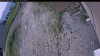 Web Cam Image - Thu, 06/25/2026 11:09am PDT