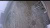 Web Cam Image - Thu, 05/07/2026 10:54am PDT