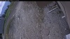 Web Cam Image - Mon, 05/11/2026 11:44am PDT