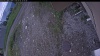 Web Cam Image - Sat, 06/06/2026 3:04pm PDT