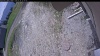 Web Cam Image - Sun, 05/24/2026 11:09am PDT