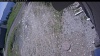 Web Cam Image - Sun, 05/31/2026 11:19am PDT