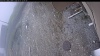 Web Cam Image - Thu, 05/07/2026 10:44am PDT
