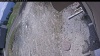 Web Cam Image - Sun, 05/10/2026 11:19am PDT