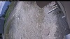 Web Cam Image - Mon, 05/11/2026 11:34am PDT