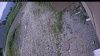 Web Cam Image - Thu, 06/25/2026 10:54am PDT