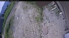 Web Cam Image - Tue, 06/23/2026 9:24am PDT