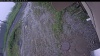 Web Cam Image - Fri, 06/26/2026 11:14am PDT