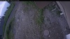 Web Cam Image - Wed, 07/01/2026 5:49pm PDT
