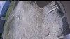 Web Cam Image - Mon, 05/11/2026 11:19am PDT