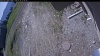 Web Cam Image - Thu, 05/28/2026 10:19am PDT
