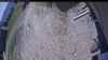 Web Cam Image - Fri, 05/22/2026 11:44am PDT