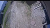 Web Cam Image - Thu, 05/28/2026 11:54am PDT