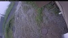 Web Cam Image - Fri, 06/26/2026 11:04am PDT