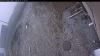 Web Cam Image - Thu, 05/07/2026 10:19am PDT