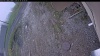 Web Cam Image - Thu, 05/14/2026 3:59pm PDT