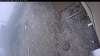 Web Cam Image - Wed, 05/06/2026 9:39am PDT
