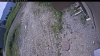 Web Cam Image - Tue, 06/23/2026 9:05am PDT