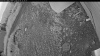 Web Cam Image - Sat, 07/04/2026 8:09pm PDT