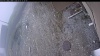 Web Cam Image - Thu, 05/07/2026 10:09am PDT